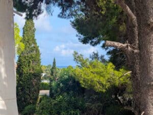 Foto van Villa in Denia Las Rotas – afbeelding 10