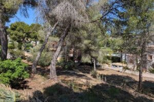 Foto van Perceel in Moraira Pinar del Advocat – afbeelding 3