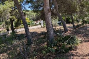 Foto van Perceel in Moraira Pinar del Advocat – afbeelding 4