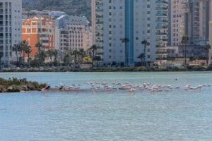 Foto van Villa in Calpe – afbeelding 29