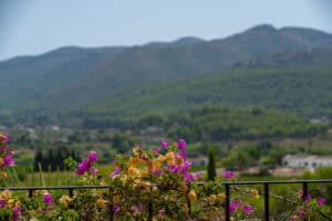 Foto van Villa in Jalon La Almazara – afbeelding 10