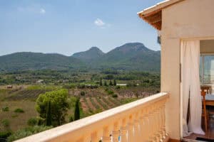 Foto van Villa in Jalon La Almazara – afbeelding 18