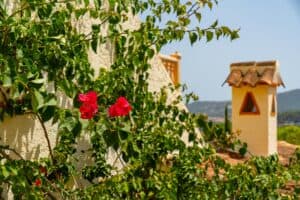 Foto van Villa in Jalon La Almazara – afbeelding 41