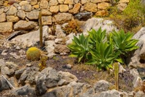 Foto van Villa in Jalon La Almazara – afbeelding 43
