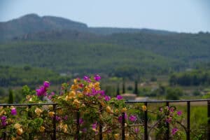 Foto van Villa in Jalon La Almazara – afbeelding 46