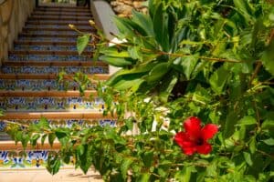 Foto van Villa in Jalon La Almazara – afbeelding 47