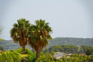 Foto van Villa in Jalon La Almazara – afbeelding 48