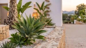 Foto van Villa in Javea Montgo – afbeelding 34