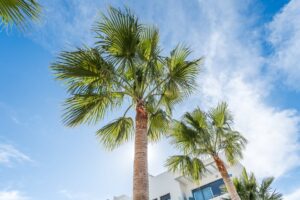 Foto van Appartement in Javea Arenal – afbeelding 1