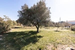 Foto van Finca in Benissa Canor – afbeelding 7