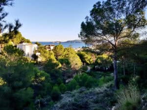 Foto van Perceel in Javea Puerto – afbeelding 3