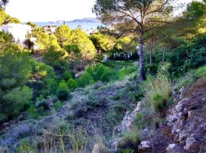 Foto van Perceel in Javea Puerto – afbeelding 0