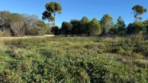 Foto van Perceel in Jávea PINOSOL – afbeelding 2