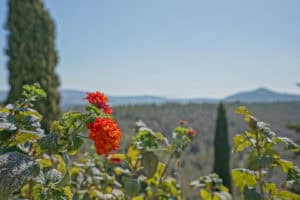 Foto van Villa in Benissa – afbeelding 79