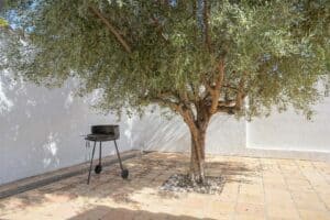 Foto van Villa in Calpe Partida Enchinent – afbeelding 39