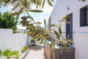 Foto van Villa in Calpe Partida Enchinent – afbeelding 40