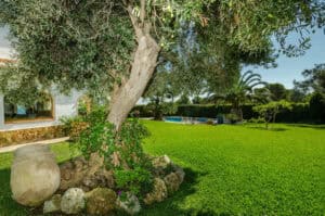 Foto van Villa in Javea – afbeelding 27