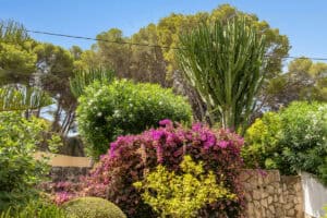Foto van Villa in Javea Centro – afbeelding 46