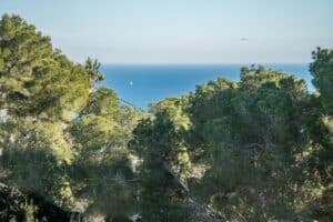 Foto van Villa in Javea Granadella – afbeelding 6